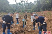 深圳广州已打造首批32处“绿美宗教活动场所”